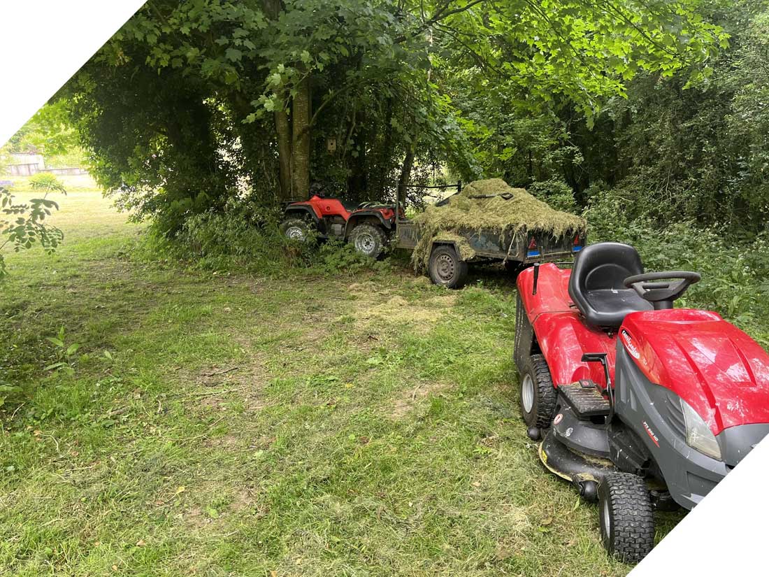 Dunne’s Garden Service & Maintenance garden tidy up